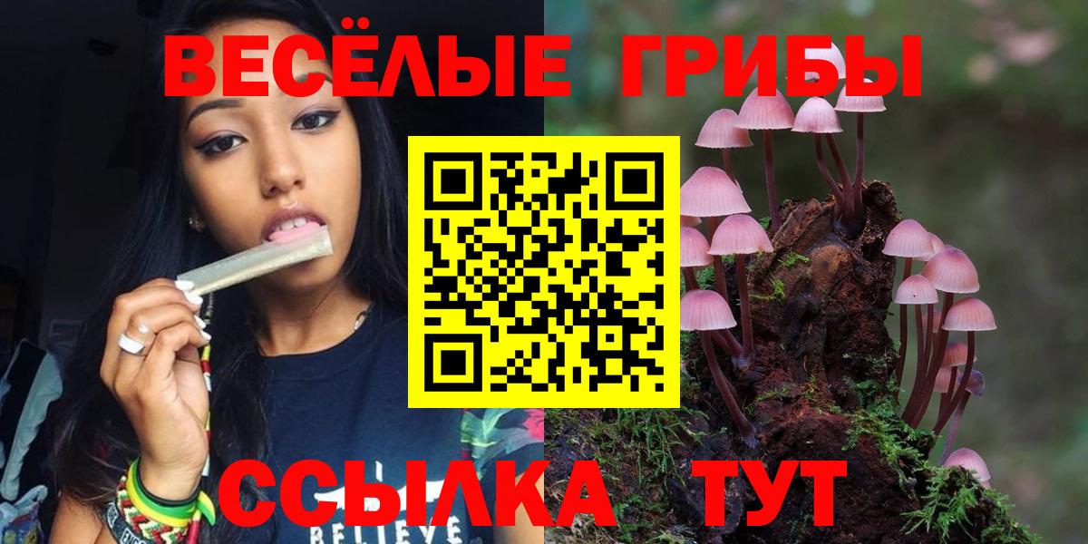 Галлюциногенные грибы ЛСД Казань