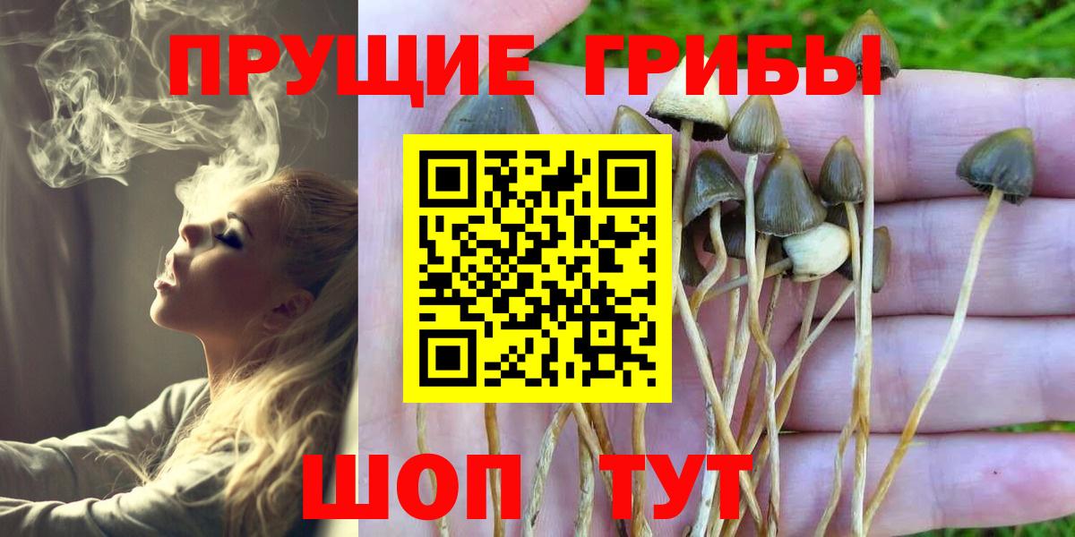 цена   Галлюциногенные грибы Cubensis  Вход с VPN  Казань 